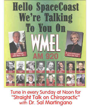 wmel-radio-poster.jpg (54697 bytes)